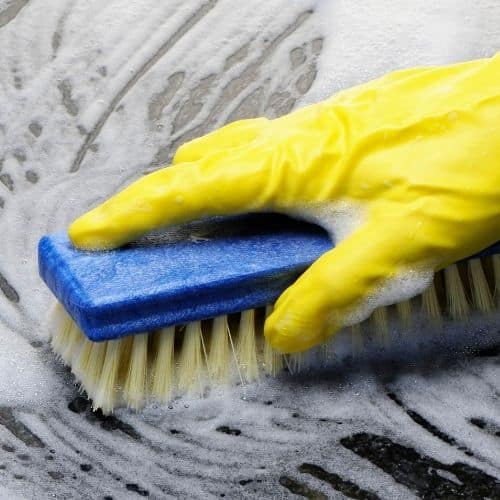 Professional home cleaning services