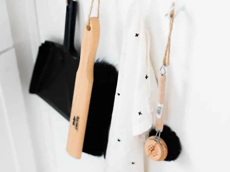Housekeeping Tips For a Cat-Friendly Home