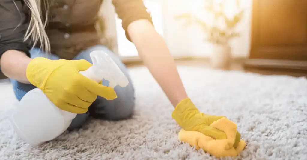 House Cleaning Company Peoria AZ
