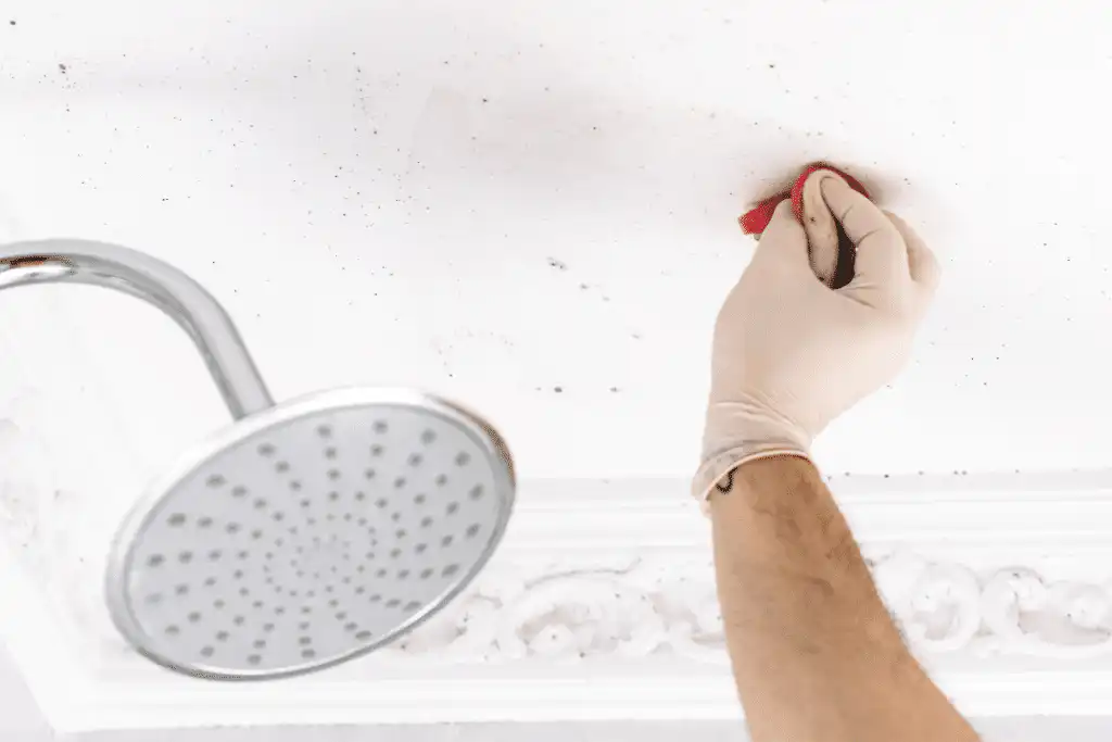 Effective mold and mildew removal