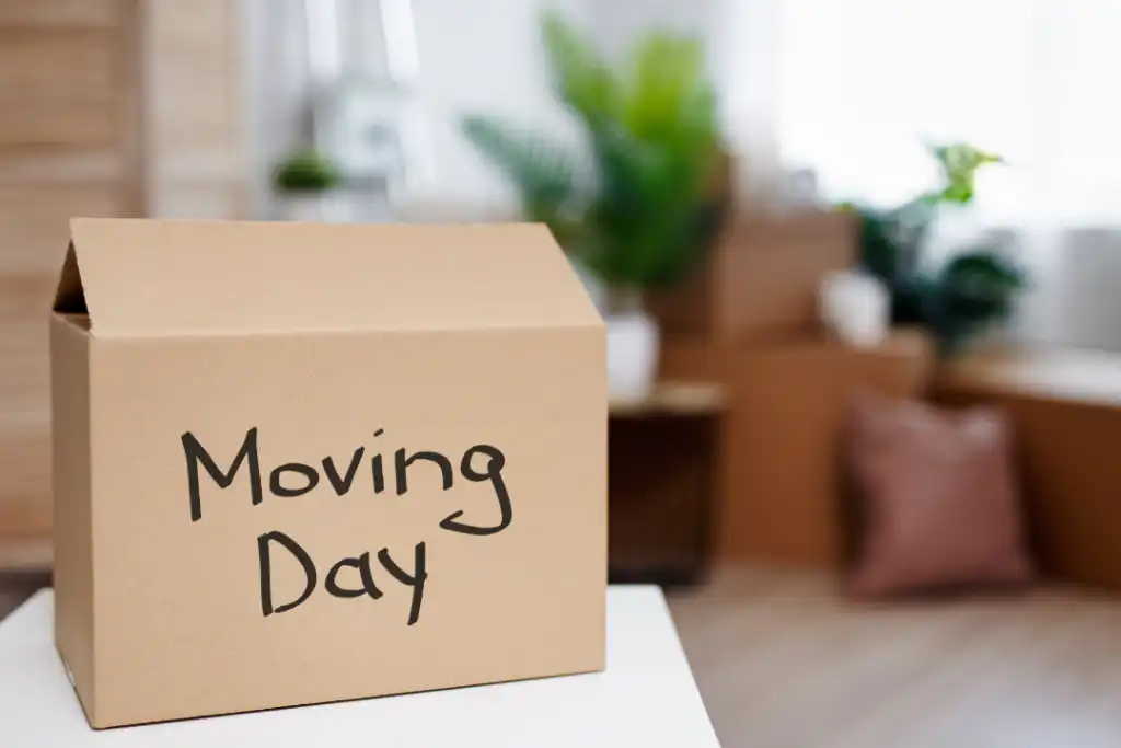 Pre-move cleaning checklist