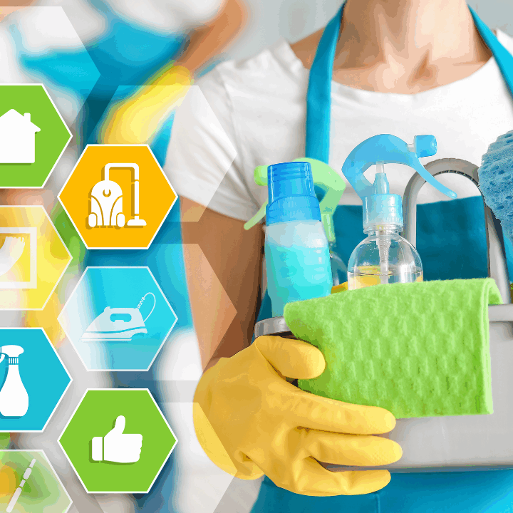 Trained professional house cleaners.